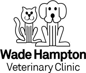 Wade Hampton Veterinary Clinic