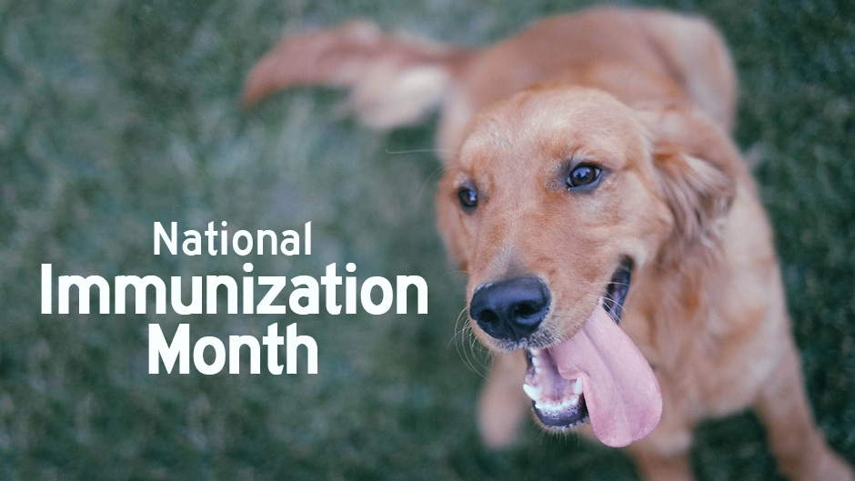 National Immunization Month